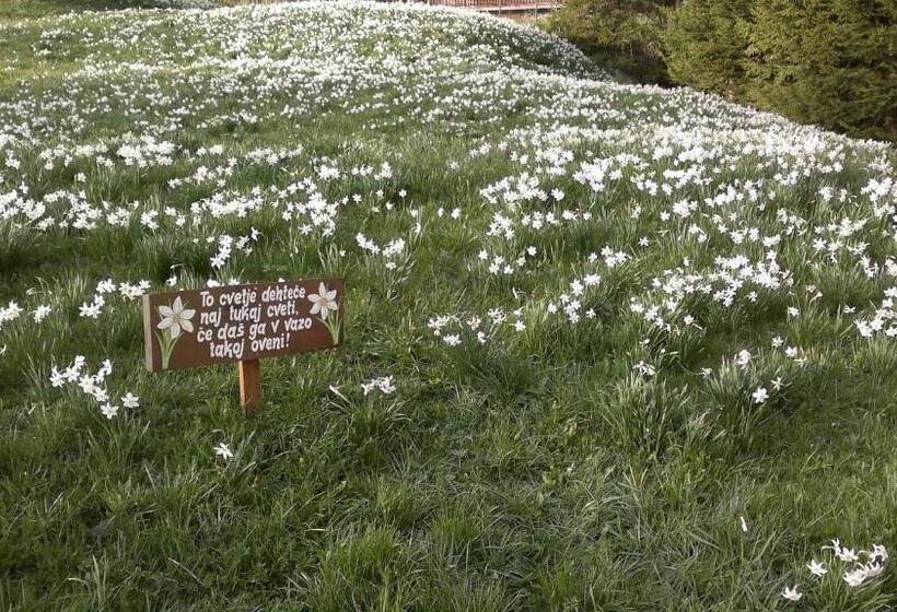 پانسیون Penzion Pr' Betel