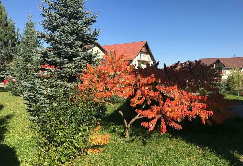 펜션 Vila Old Cars