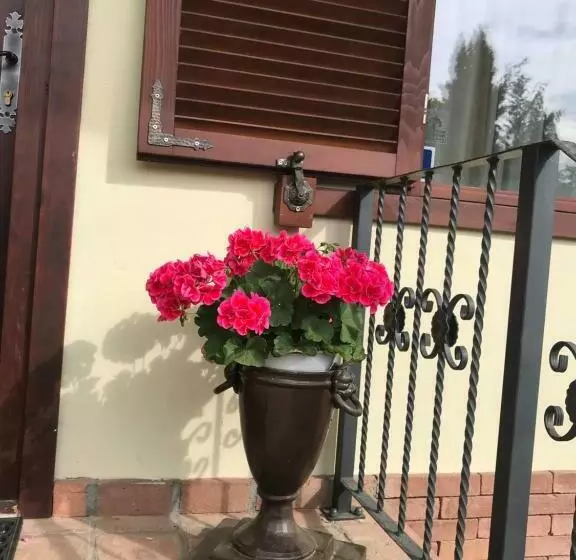 ペンション Vila Old Cars