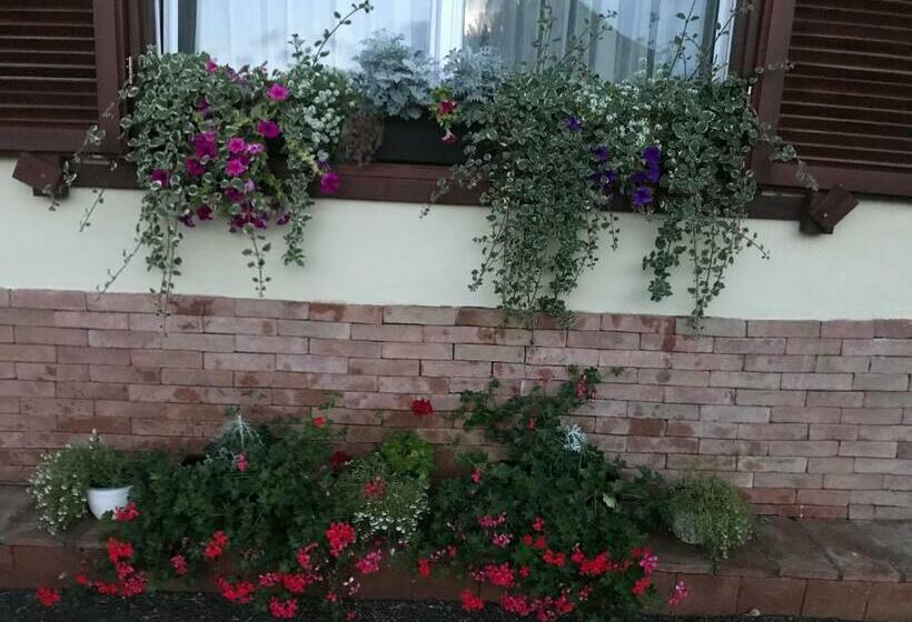 펜션 Vila Old Cars