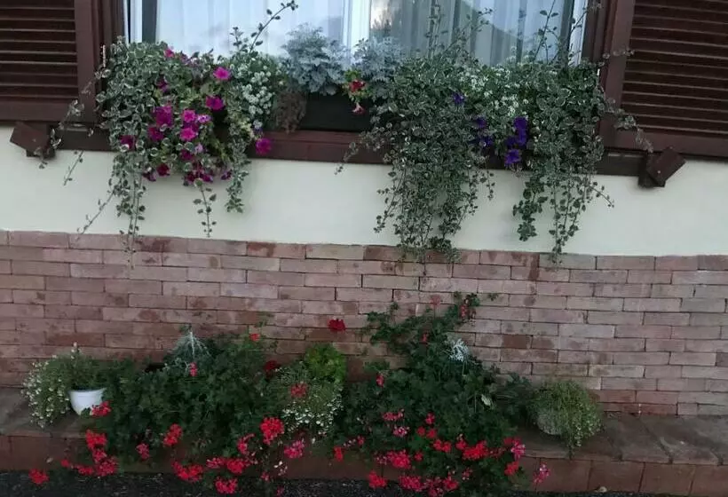 ペンション Vila Old Cars