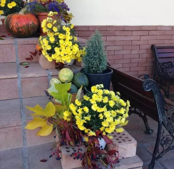 ペンション Vila Old Cars