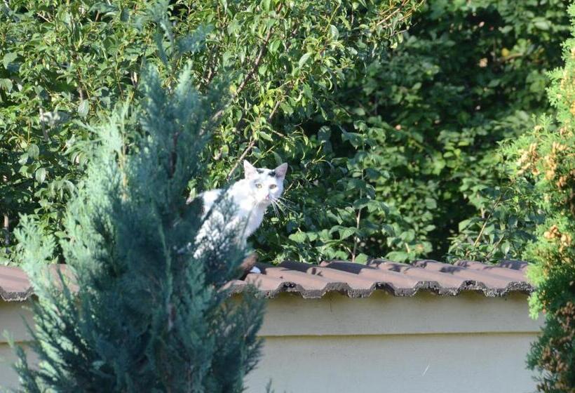 펜션 Vila Old Cars