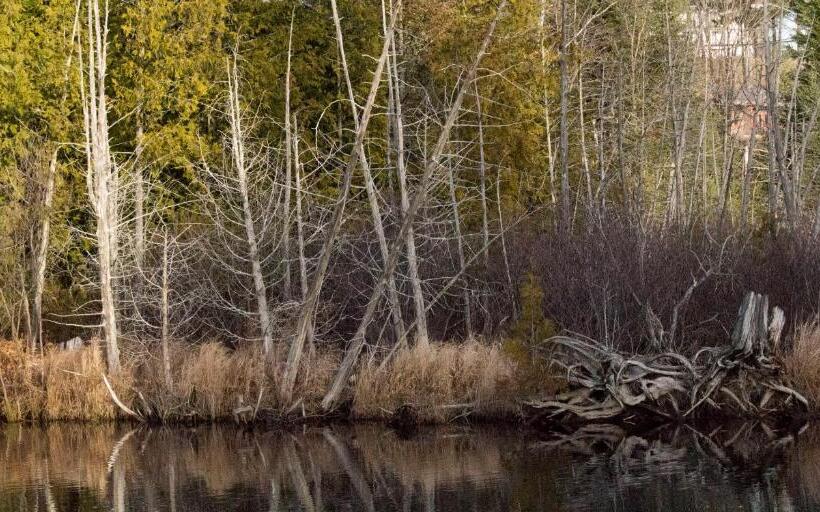 Lake Placid Inn: Residences