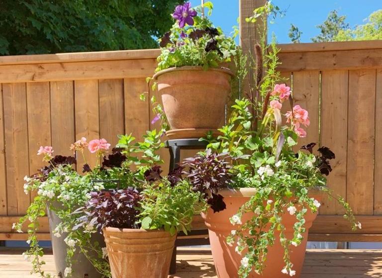 Panzió 173 High Street