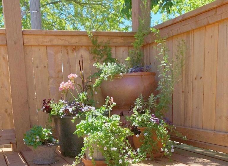 Panzió 173 High Street