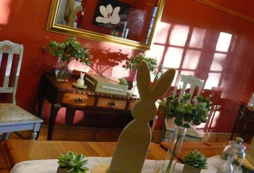 بنسيون Cecil John Rhodes Guest House