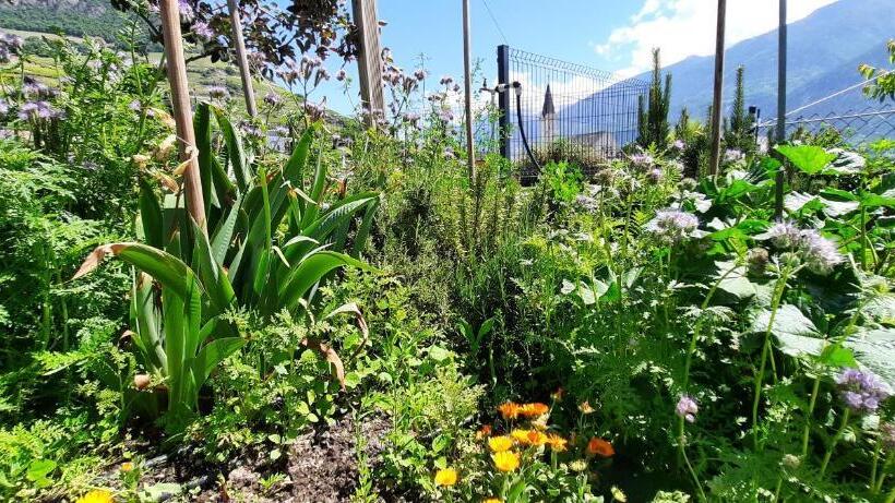 Пансион Guesthouse Petit Pré