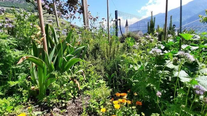 Majatalo Guesthouse Petit Pré