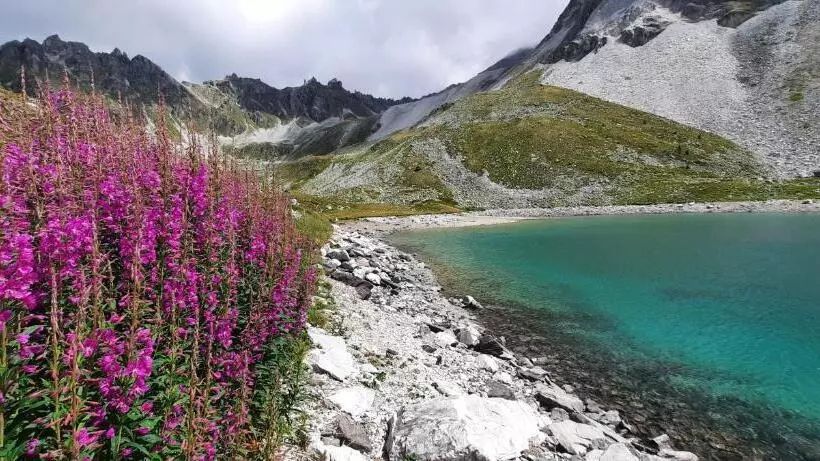 Majatalo Guesthouse Petit Pré