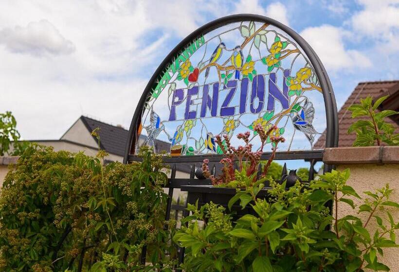 פנסיון Penzion Domanín