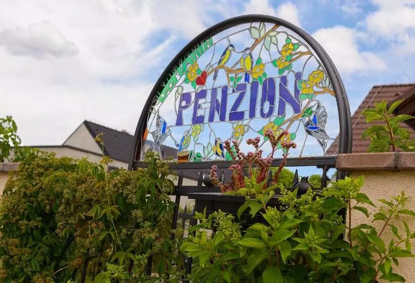 پانسیون Penzion Domanín