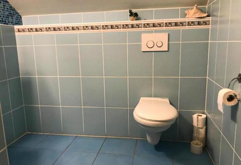 פנסיון Penzion Domanín