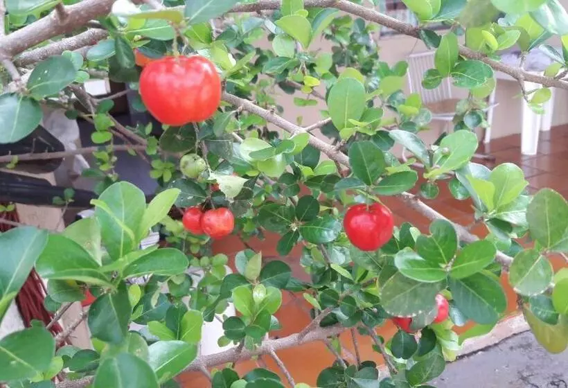 ペンション Pousada Catarina