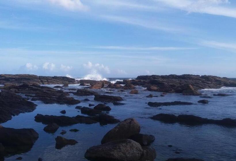 פנסיון Thatched Villa