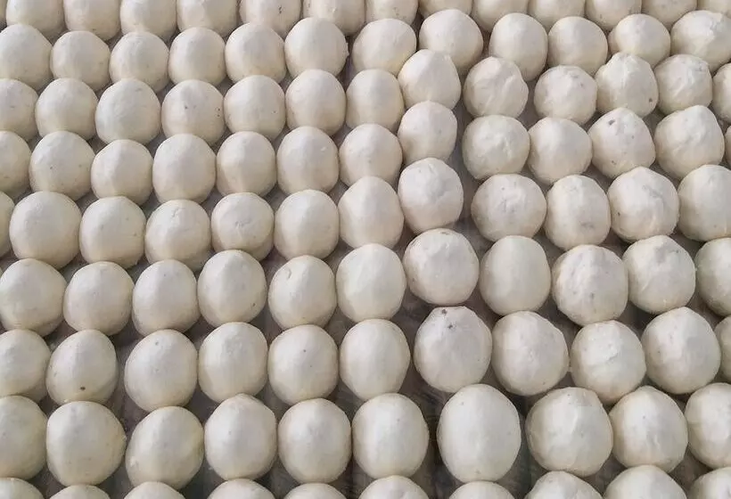 Hotelli Rime Island Manzhaosongju Inn