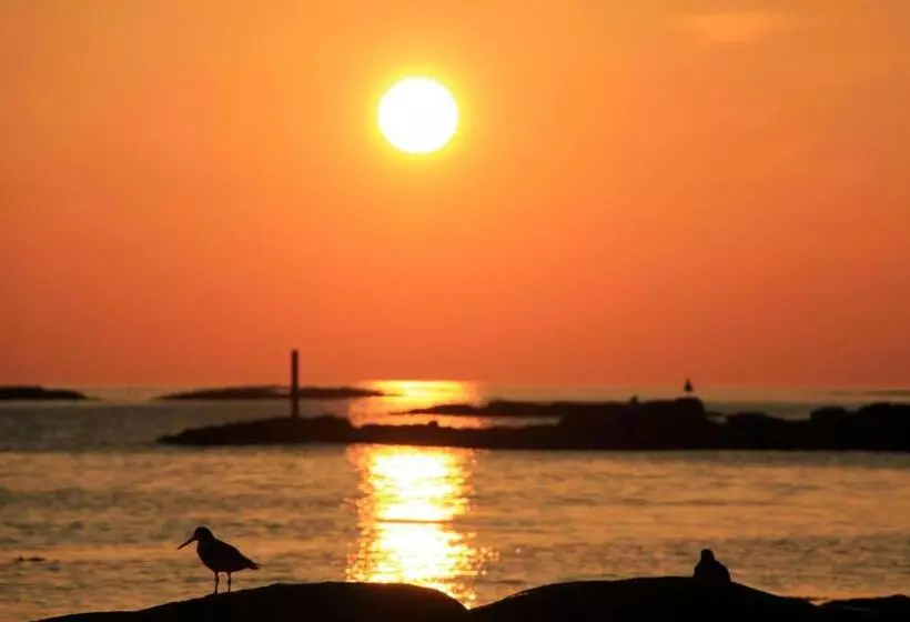 Majatalo Midnattsol Rom Og Hytter