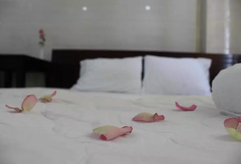 پانسیون Haivan Hostel