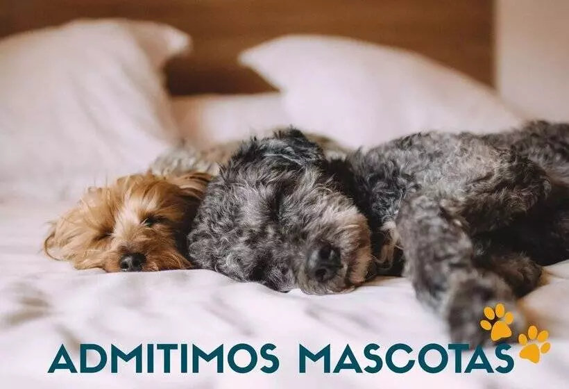 Apartamentos Mikka Mundial