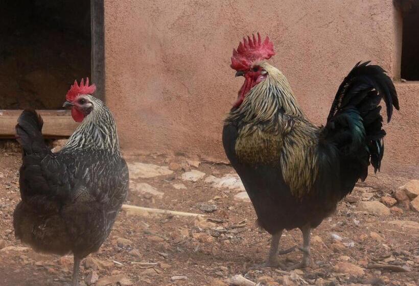 فندق Pou De Beca Allotjaments I Agroturisme