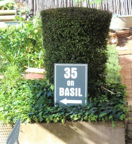 膳宿费 35 On Basil
