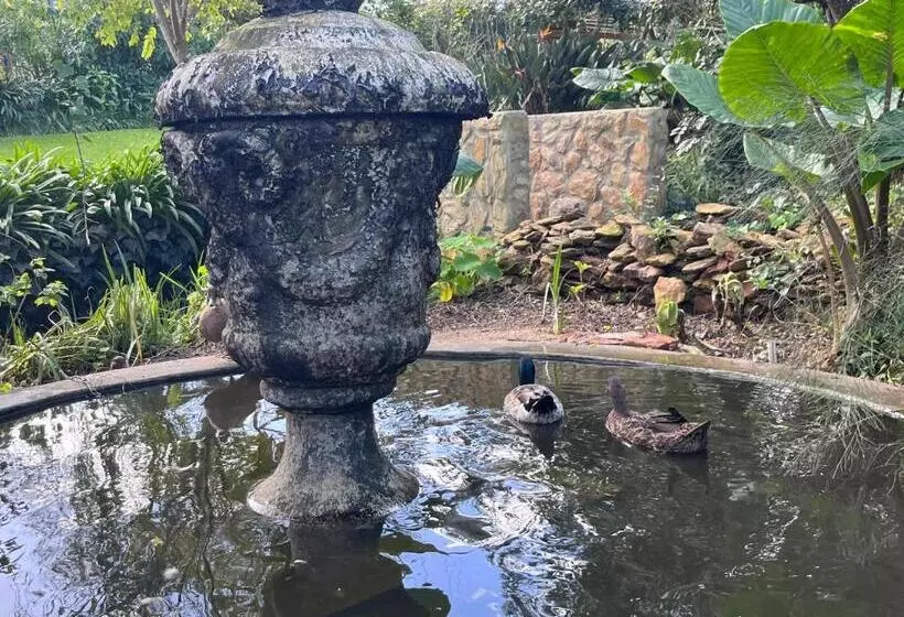 Majatalo 35 On Basil