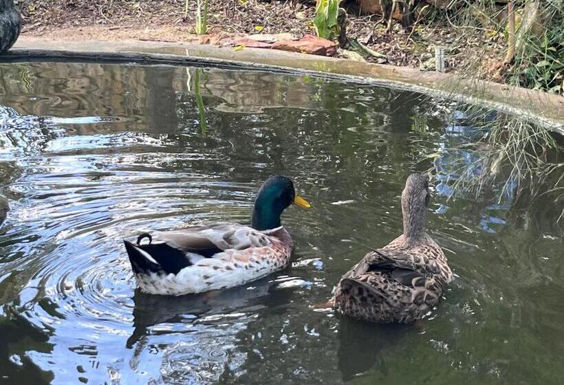 膳宿费 35 On Basil