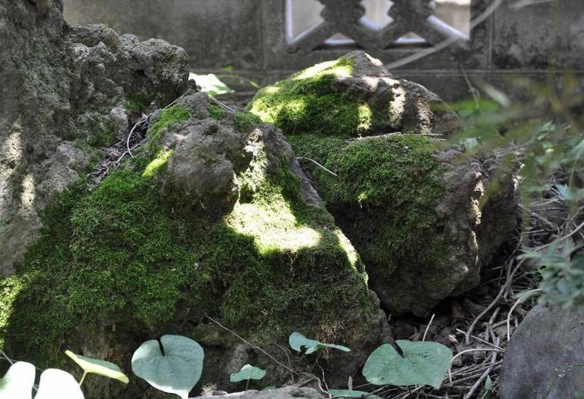 ペンション Chambre Dhote Tatami