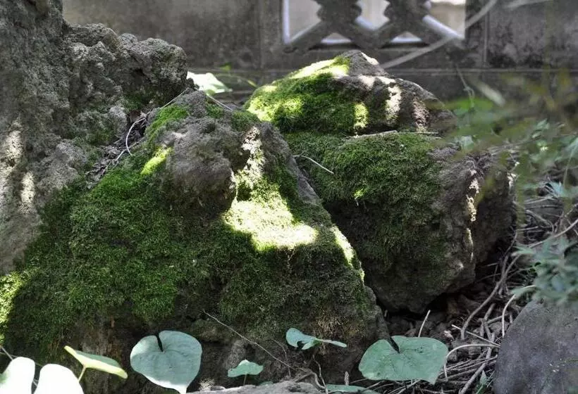 Majatalo Chambre Dhote Tatami