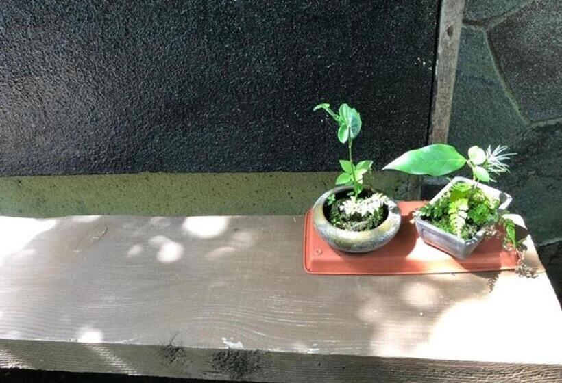 ペンション Chambre Dhote Tatami