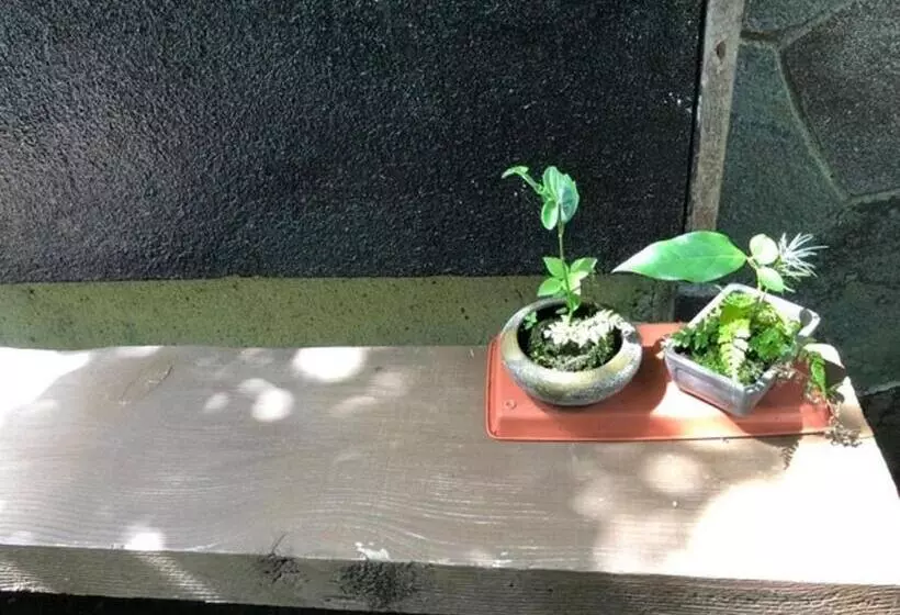 Majatalo Chambre Dhote Tatami