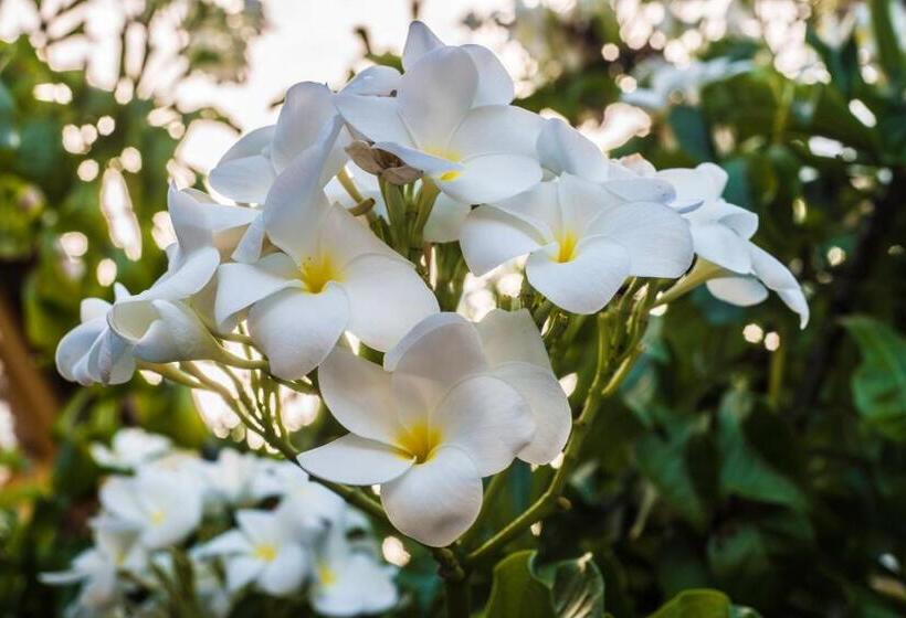 فندق Pousada Bahia Bella