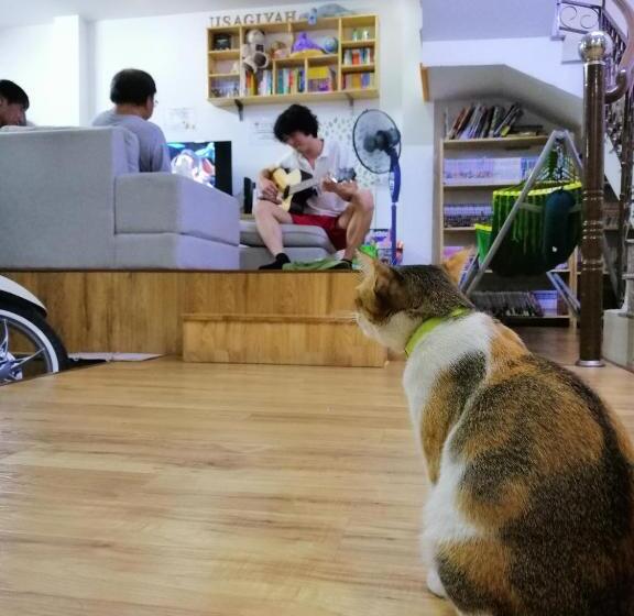 پانسیون Usagiyah Hotel & Guest House