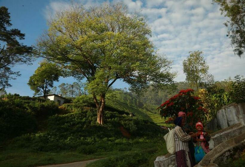 호텔 Casa Montana Munnar