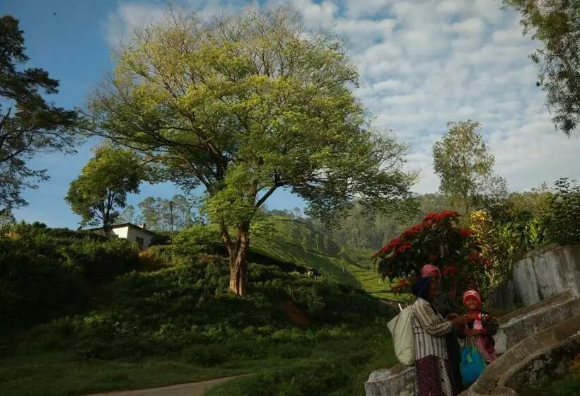 ホテル Casa Montana Munnar