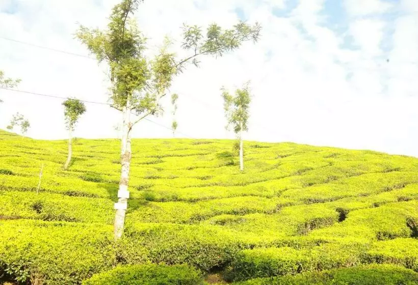 ホテル Casa Montana Munnar