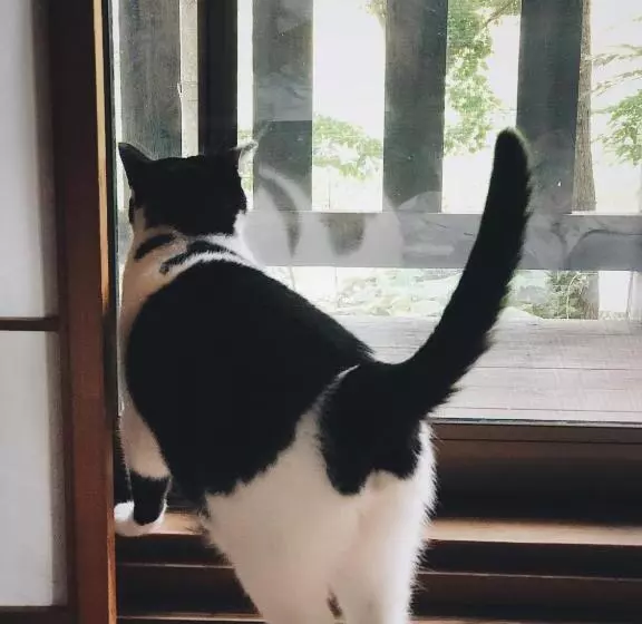 ホテル Noka Minshuku Sanzen