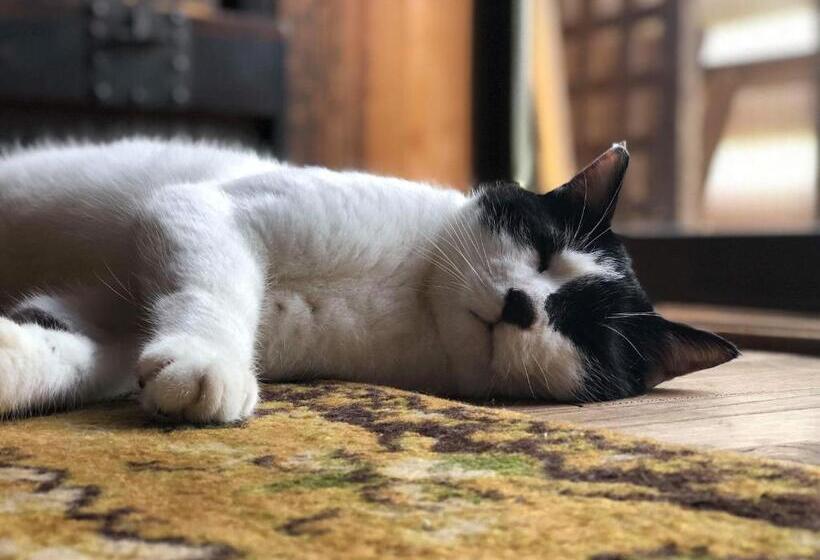 فندق Noka Minshuku Sanzen