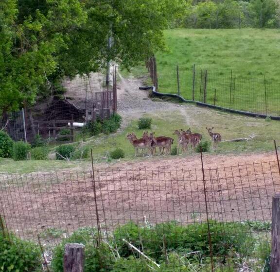 B&b La Casa Del Daino