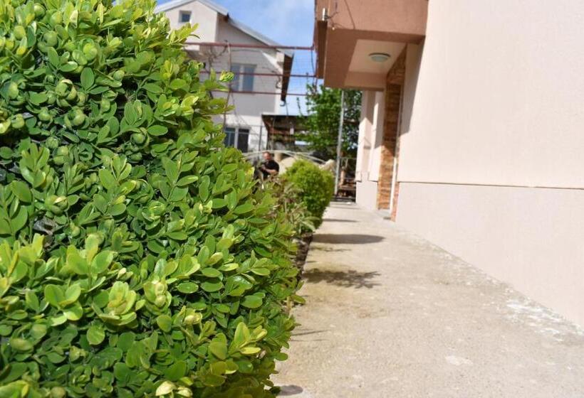 پانسیون Vila Arsovi