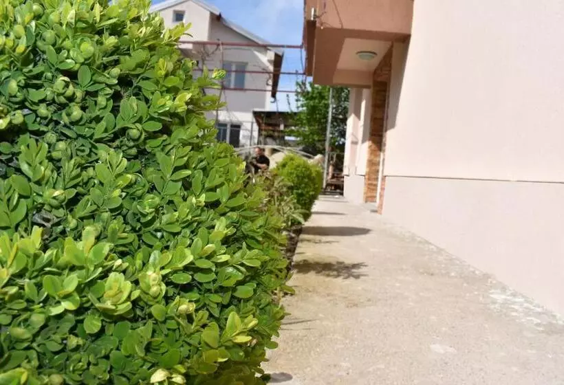 پانسیون Vila Arsovi