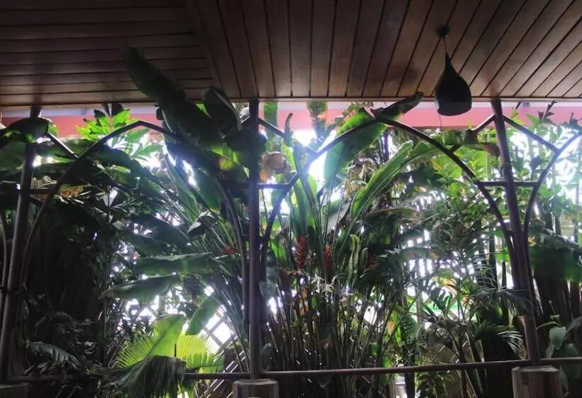 تختخواب و صبحانه Limrock