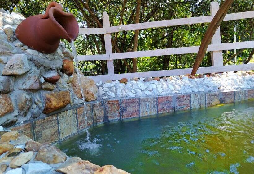 膳宿费 Pousada José Da Rosa