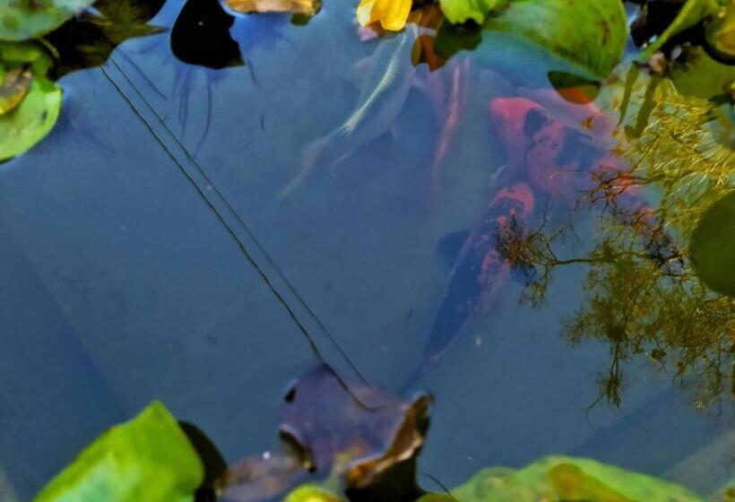 膳宿费 Pousada José Da Rosa