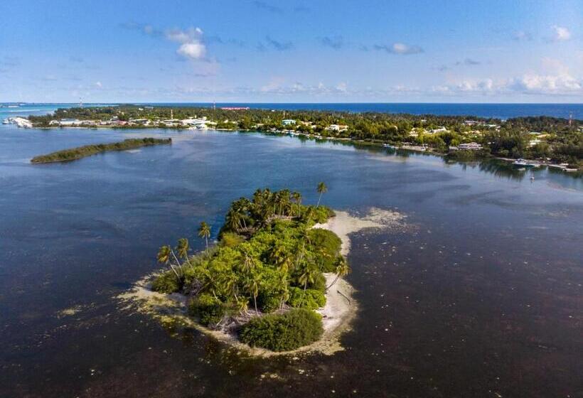 پانسیون Clove Beach