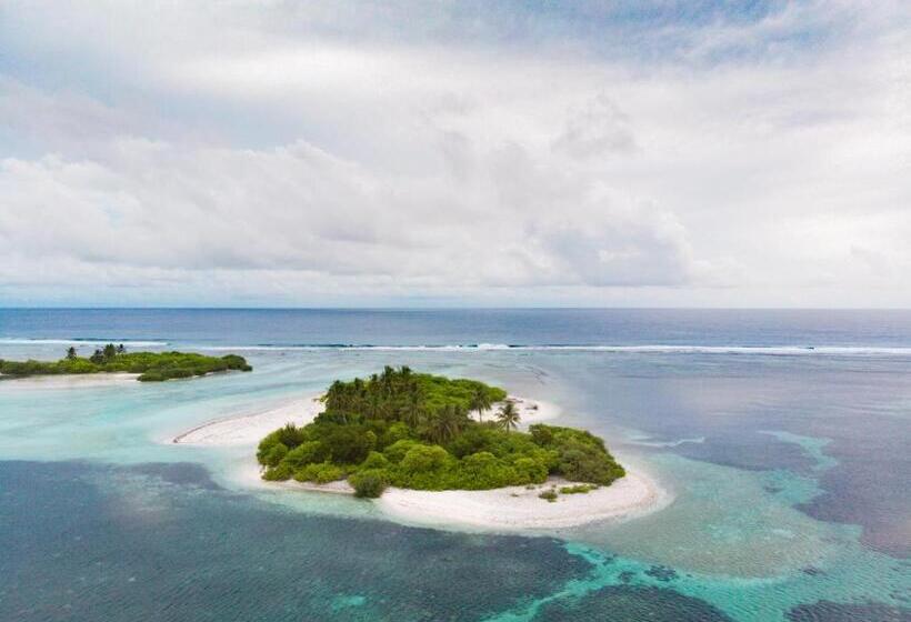 پانسیون Clove Beach