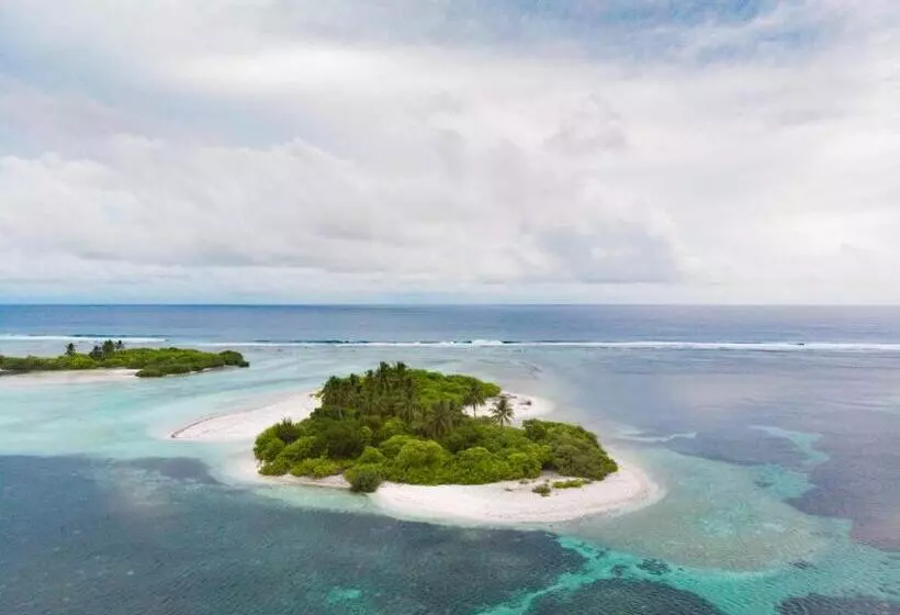 پانسیون Clove Beach