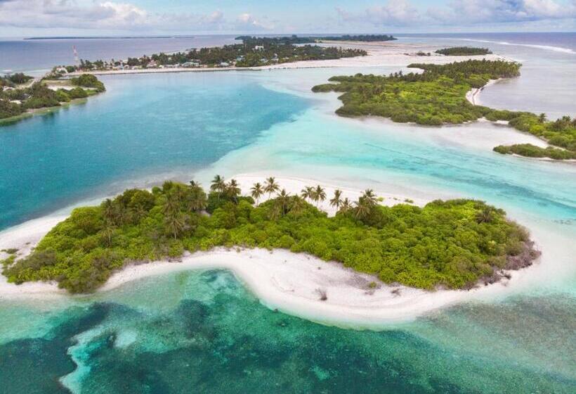 پانسیون Clove Beach