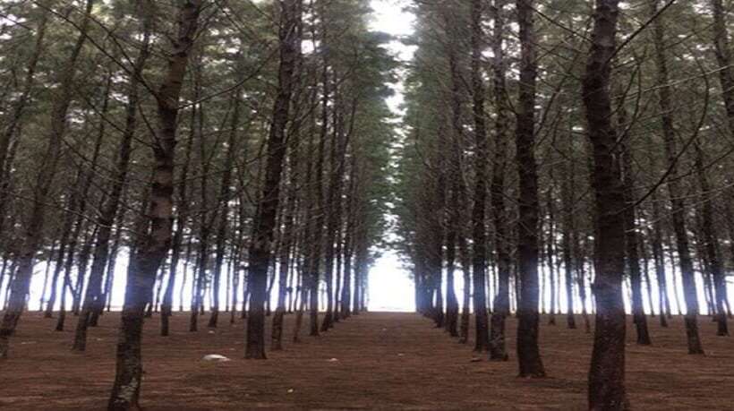 Hotel H Elite Design