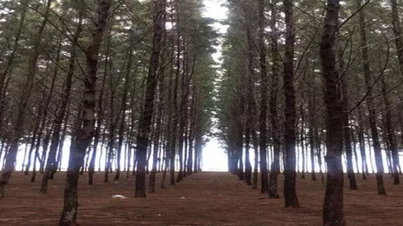 ホテル H Elite Design